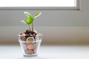 jar of canadian coins and a small plant growing from it